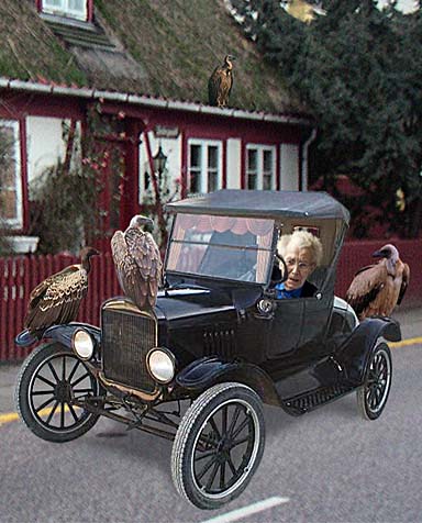 Oldgammelt v&aelig;sen i et liges&aring; oldgammelt k&oslash;ret&oslash;j